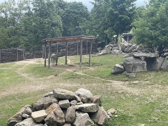 Zoologická a botanická zahrada Liberec | Slevomat.cz