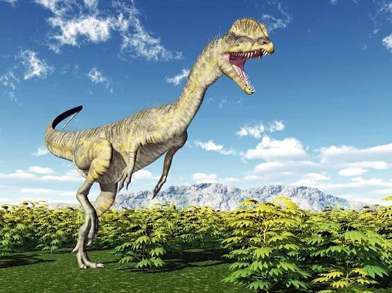 Dilophosaurus: 3 Fakten & 6 Merkmale + Steckbrief » schreiben.net