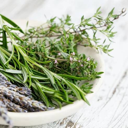 Thyme