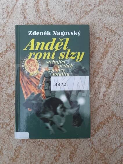 Anděl roní slzy