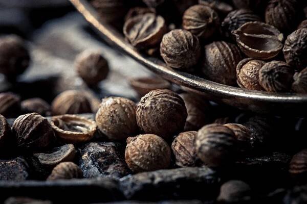Food Fotografie für kreative Bilder – Viscom Food Fotografie