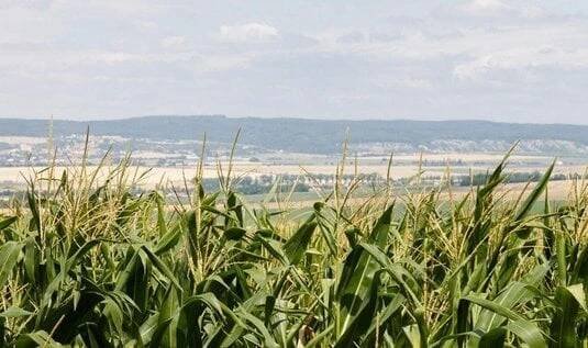Duch JZD přežívá. Průměrná velikost zemědělského podniku v Česku překonává unijní průměr