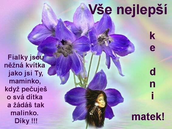 005 přání Den matek