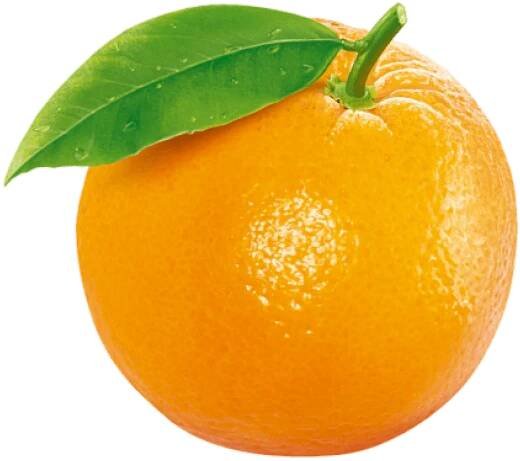 72 Orange things, ranked