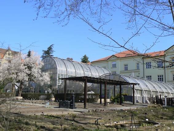 Botanická zahrada, Brno
