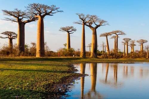 Poznávací zájezd Madagaskar - Summit Tour