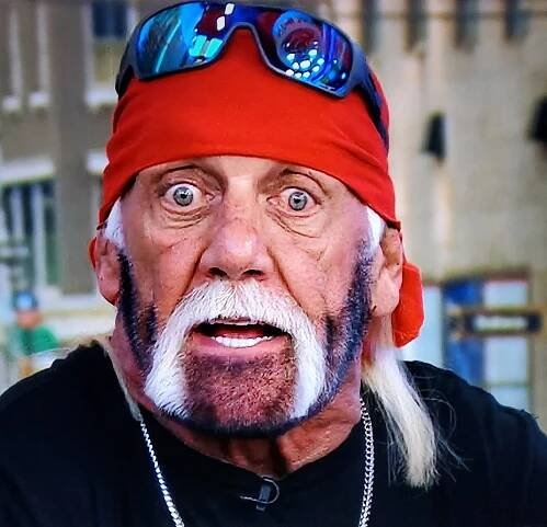 Hulk Hogan showed off his dramatic new look during a live appearance on Fox News' 