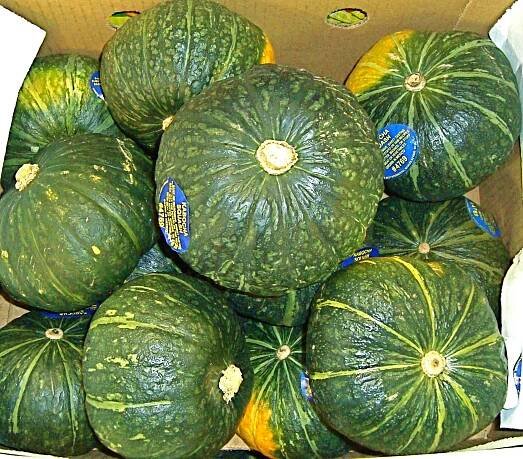 Gallery – Rubin Bros Produce Corp. - NYC Full Service Produce Distribution - Hunts Point Produce Market