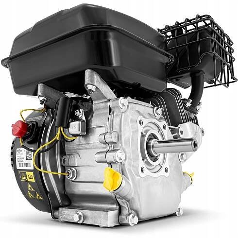 Motory Briggs Stratton - Nízká cena na Allegro