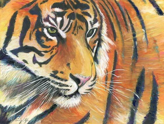Eye of the Tiger