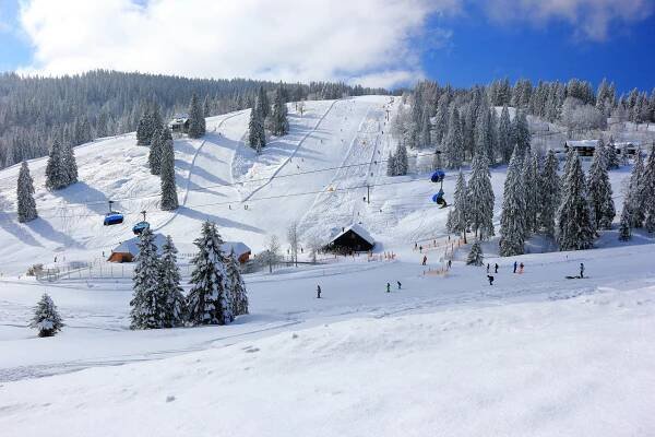 7 Gründe, warum Du im Schwarzwald Urlaub machen solltest