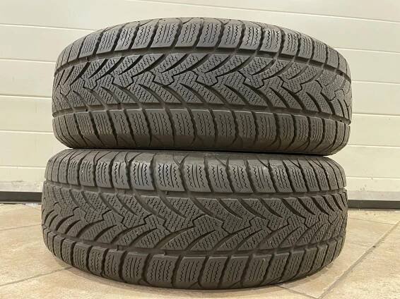 Platin RP Winter 195/65 R15 91T 2Ks zimní pneumatiky