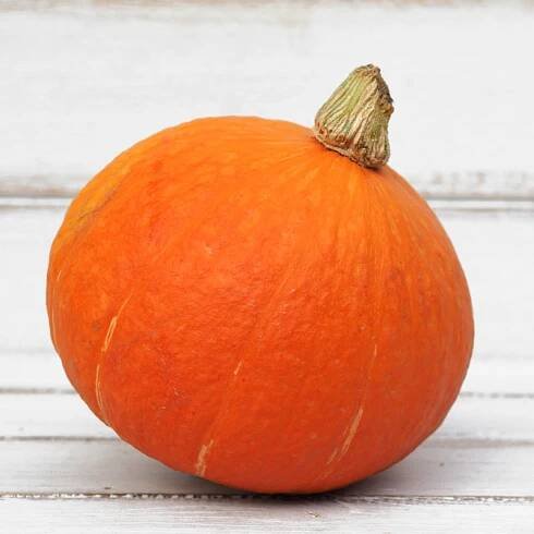 Zobrazit detail produktu - Halloween dýně Rohoznice