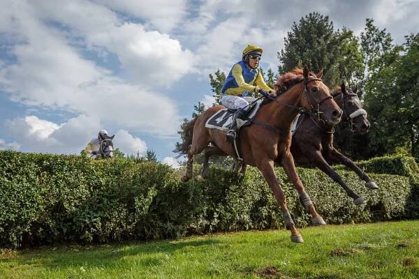 Horse-Racing - Marek Duda | my hobby, my life
