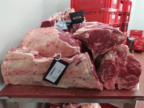 S půlkou přeštíka za splněným snem - Agropress.cz