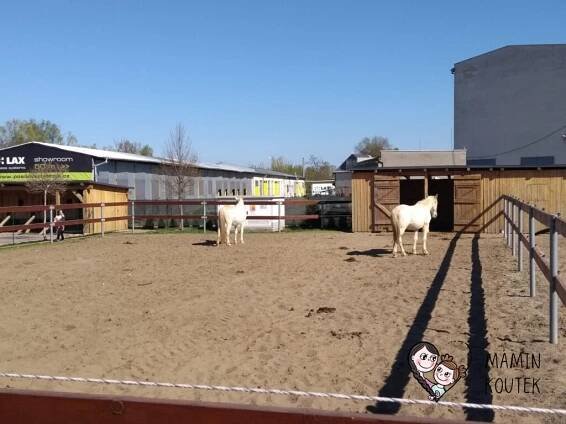ZAJÍMAVÁ MÍSTA: Hospůdka na Haldě (Boršice)