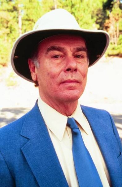 Ohnivé inferno - Promo - Dean Stockwell