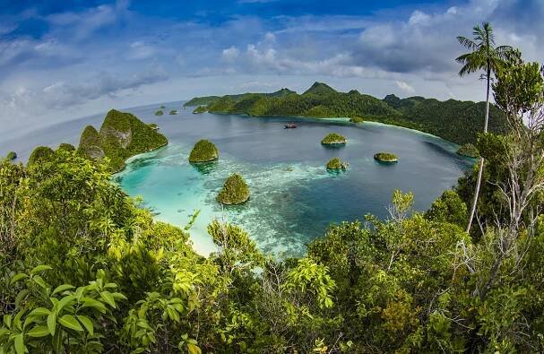 ISLAND EXPOSURE INC, Underwater, fine art photography, underwater photographer, Tanya G Burnett, Kevin Palmer, Dive, scuba