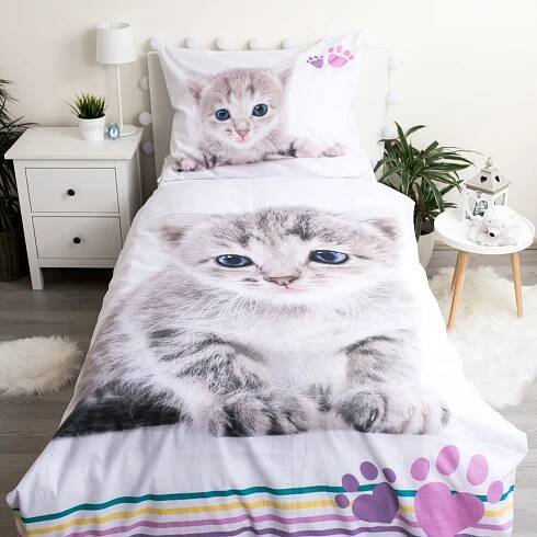 681 kitten colour 2