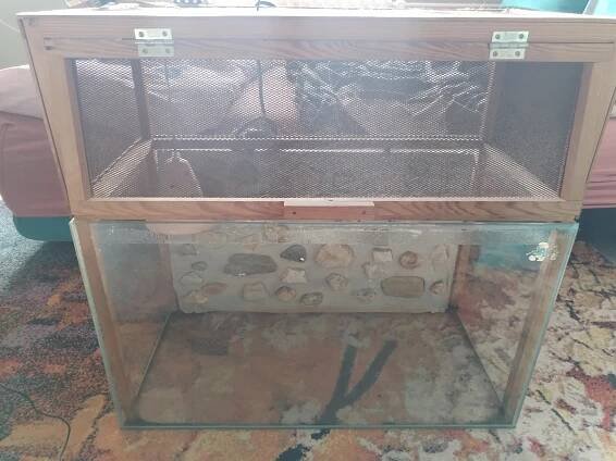 Prodám terárium. Osvětlení a vytápění. Originální kamene pozadí které lze vytáhnout. Cena 1000,- - InzerceTrinec.cz
