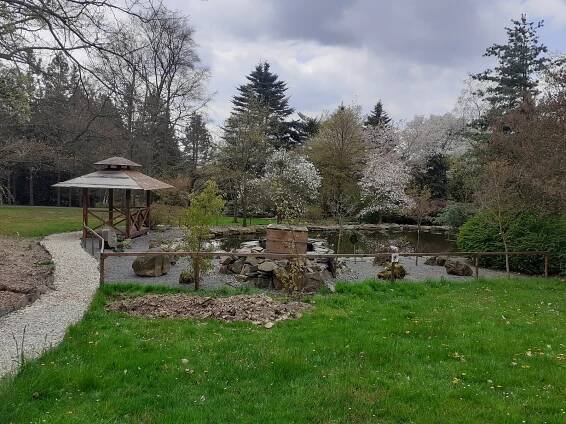 VIDEO: Arboretum Nový Dvůr na jaře. Návštěvníky láká nejen na skleníkové novinky
