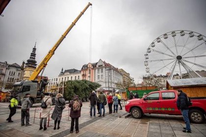 Centrum Ostravy už má vánoční strom. Masarykovo náměstí zdobí půvabná jedle