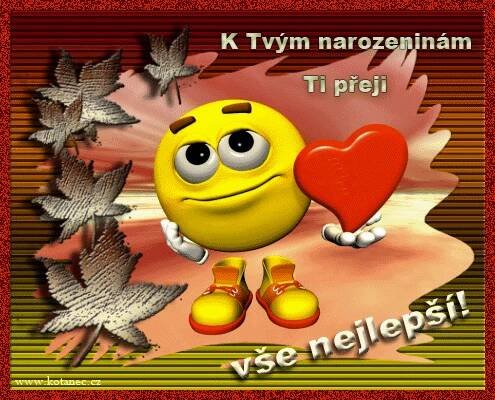 Přání k narozeninám 006 animace