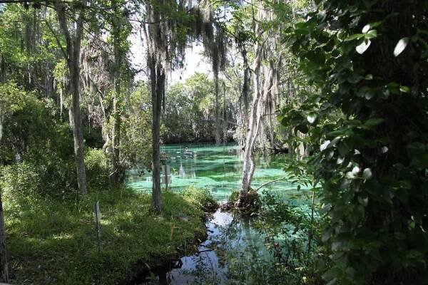 Three Sisters Springs, Florida