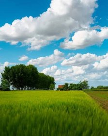 zemědělská půda, pšeničné pole, zemědělská usedlost, farma, Jarní čas, krajina, pole, jaro, atmosféra, mrak