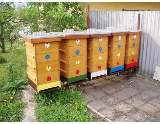 Včelařská farma Holasovice- okres Opava