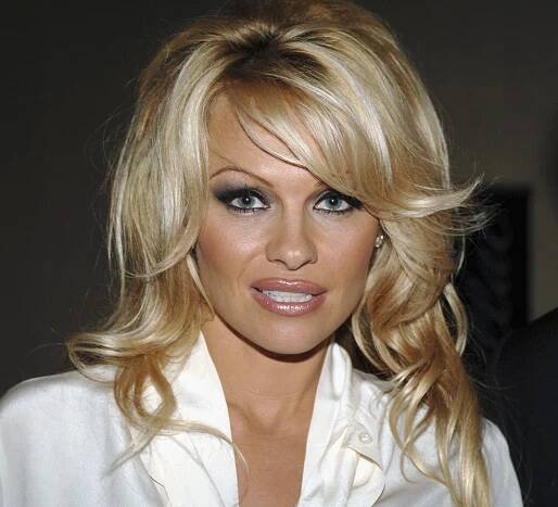 Pamela Anderson attends The Museum of Television & Radio Annual Los Angeles Gala at the Beverly Hilton Hotel on November 7, 2005 in Beverly Hills, California. | Source: Getty Images