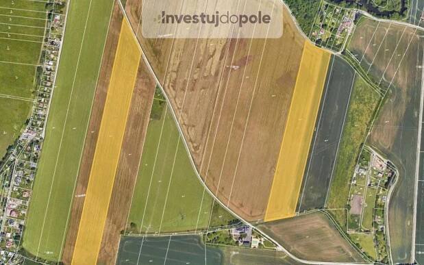 Zemědělské pozemky, Plzeň 7-Radčice, Plzeň, 3 943 m²
