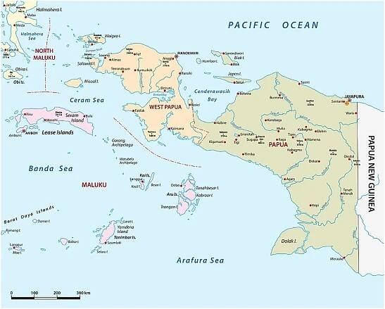 vektorová mapa indonéských provincií papua a západní papua - papua nová guinea stock ilustrace