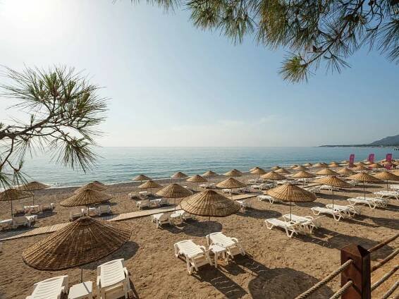 Monk Resort