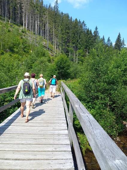 SONS ČR - Turistika - Jelení louky 