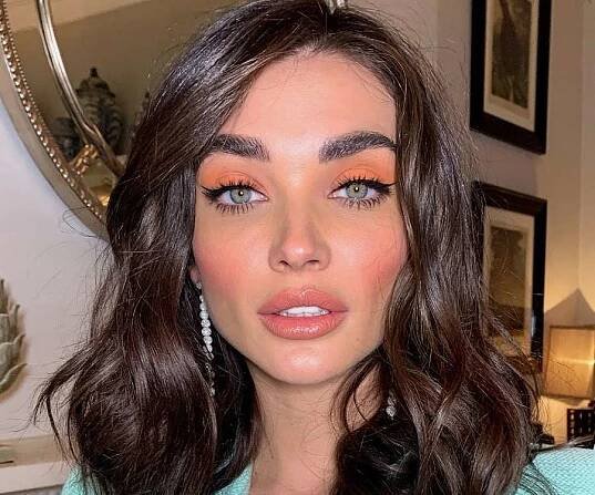 Amy Jackson Biography - Facts, Childhood, Family Life & Achievements