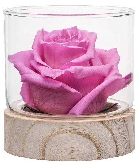 Honey Rose Flowers Delivered - Honey Rose Hydrated To Last 4 Months