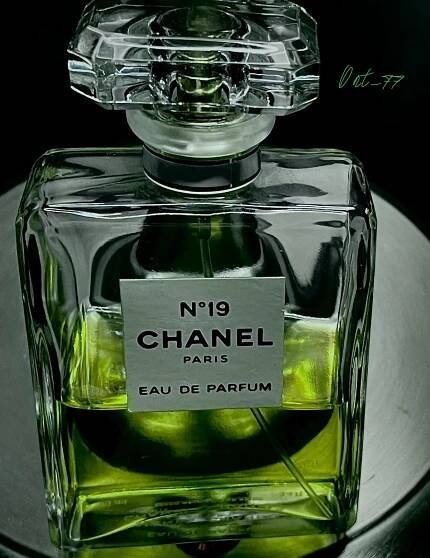 Chanel No 19 Parfum Chanel pro ženy