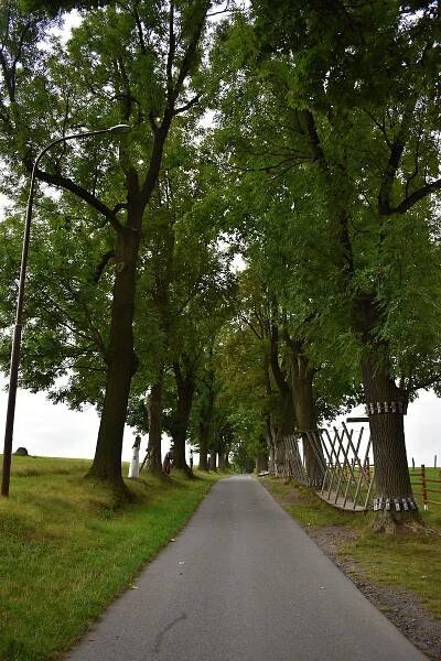Pyšolec, Kunštát a Skály. Další šlechtická sídla doplní Bystřický park miniatur