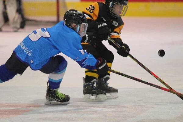 HC Teplice Huskies na turnaji v Maďarsku