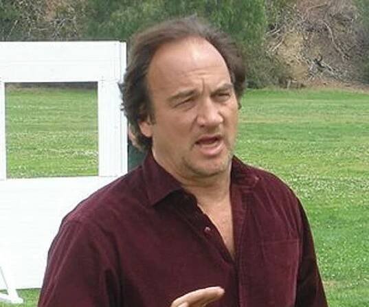 Jim Belushi Biography - Facts, Childhood, Family Life & Achievements of Comedian