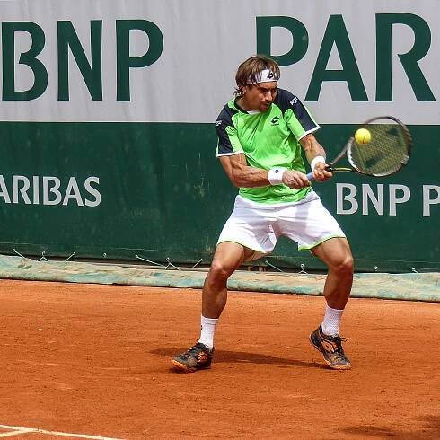 Soubor:David Ferrer - Roland Garros 2013 - 002.jpg – Wikipedie