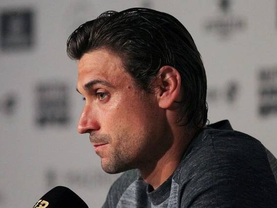 David Ferrer - Sport.cz