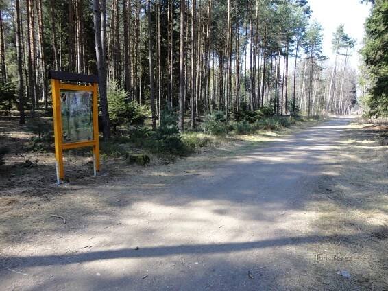 trasa - Naučná přírodní stezka - Trasa
