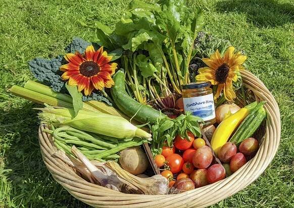 Home - FlintShare - community garden in North Wales