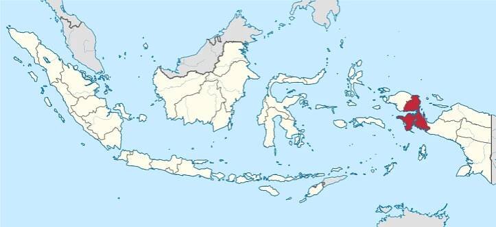 Západní Papua (provincie)