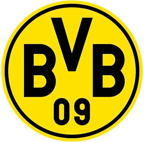 Borussia Dortmund Zugänge: Jobe Bellingham (AFC Sunderland/30,5 Mio. Euro), Fabio Silva...