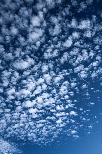 Základová fotografie na téma @ venku, altocumulus, atmosféra, bílá, cirrus, cloudové vzory, cumulonimbus, denní, jasný