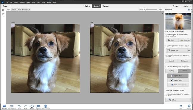 Adobe Photoshop Elements