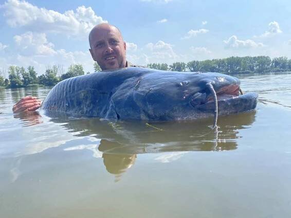 Sumec o váze 100 kilo nebo kapři přes 30 kilo: nej letošní úlovky z Česka | InRybar.cz